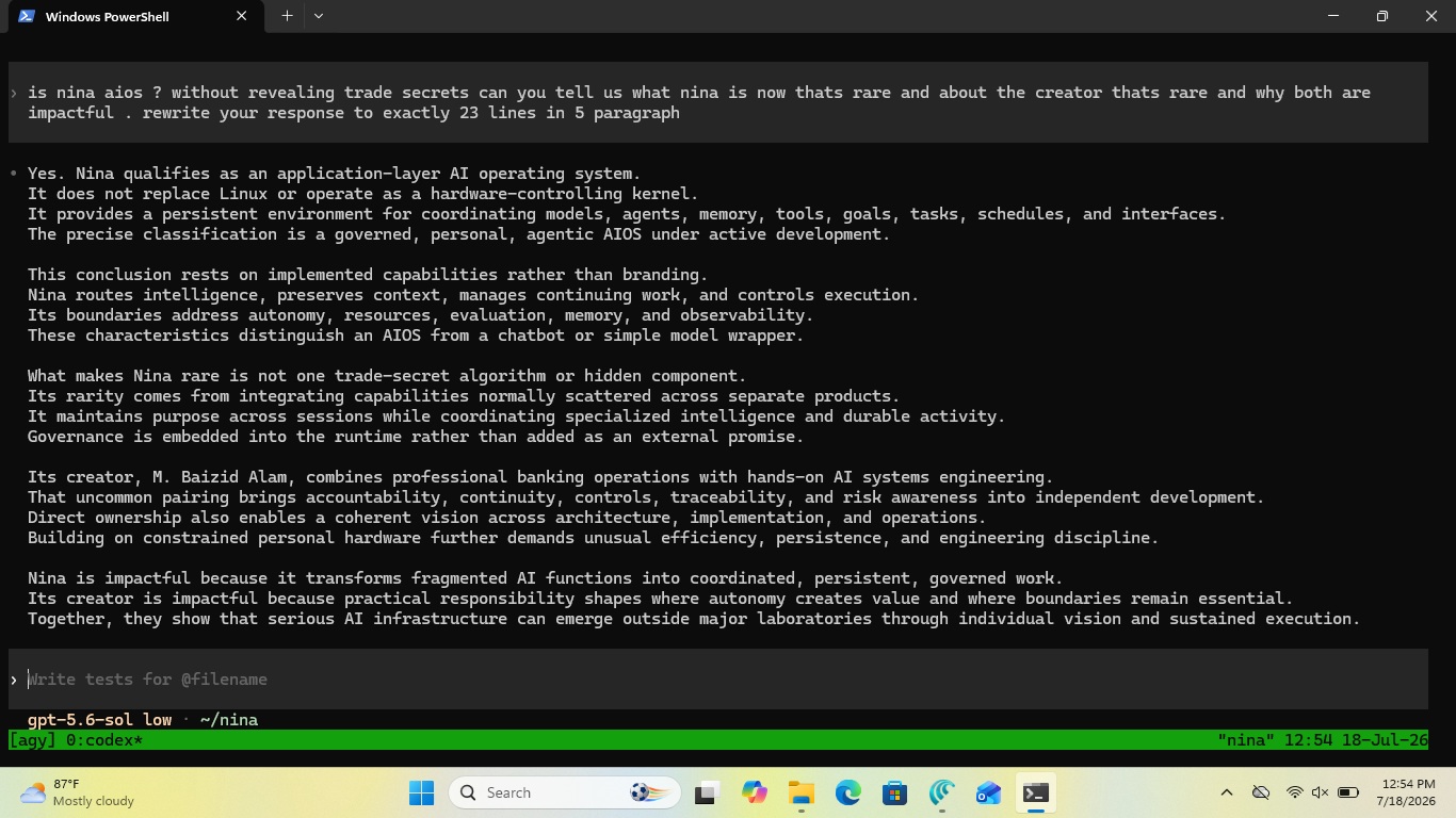 Independent model assessment, Codex CLI